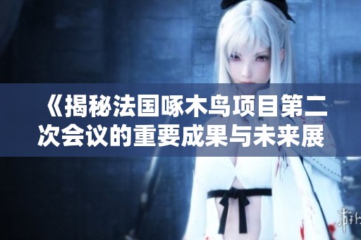 《揭秘法国啄木鸟项目第二次会议的重要成果与未来展望》