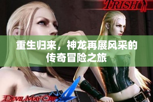 重生归来，神龙再展风采的传奇冒险之旅