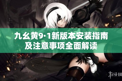 九幺黄9·1新版本安装指南及注意事项全面解读