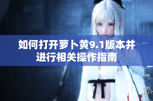 如何打开萝卜黄9.1版本并进行相关操作指南