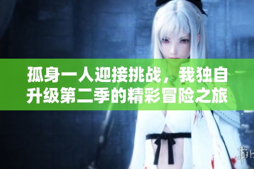孤身一人迎接挑战，我独自升级第二季的精彩冒险之旅