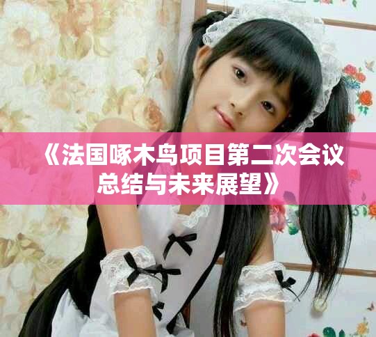 《法国啄木鸟项目第二次会议总结与未来展望》