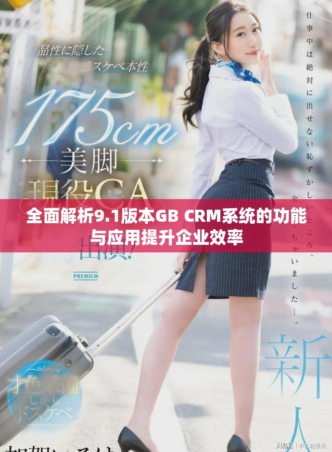 全面解析9.1版本GB CRM系统的功能与应用提升企业效率