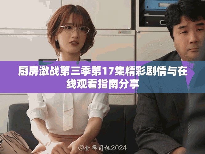 厨房激战第三季第17集精彩剧情与在线观看指南分享