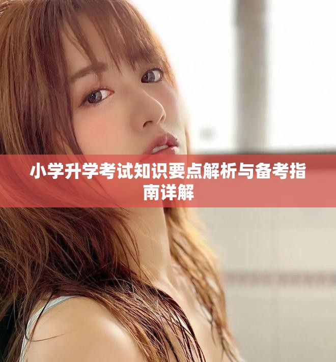 小学升学考试知识要点解析与备考指南详解