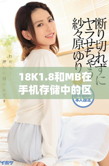 18K1.8和MB在手机存储中的区别与应用分析