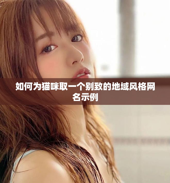 如何为猫咪取一个别致的地域风格网名示例