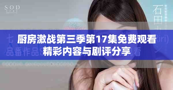 厨房激战第三季第17集免费观看精彩内容与剧评分享