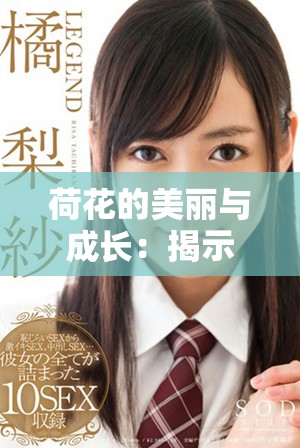 荷花的美丽与成长：揭示1777的魅力故事