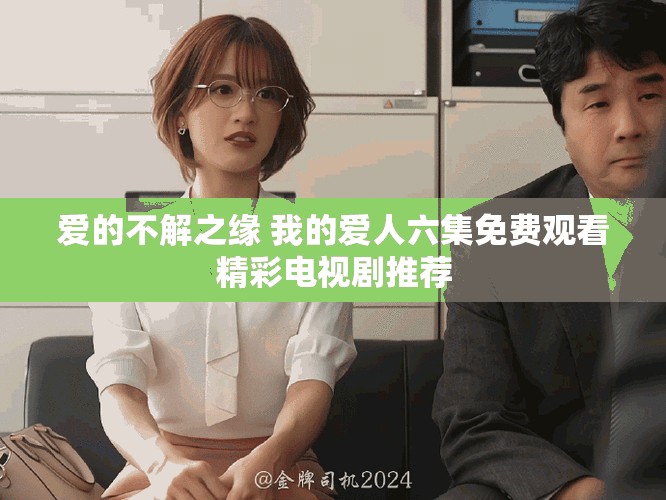 爱的不解之缘 我的爱人六集免费观看精彩电视剧推荐