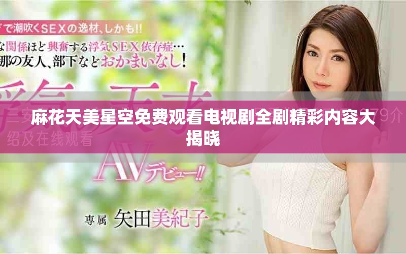 麻花天美星空免费观看电视剧全剧精彩内容大揭晓