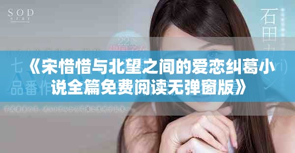 《宋惜惜与北望之间的爱恋纠葛小说全篇免费阅读无弹窗版》