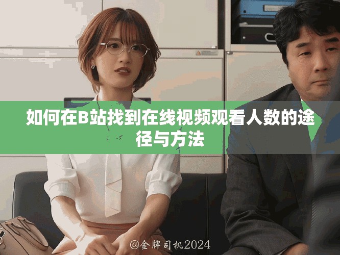 如何在B站找到在线视频观看人数的途径与方法