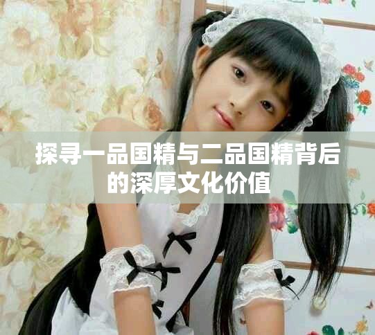 探寻一品国精与二品国精背后的深厚文化价值