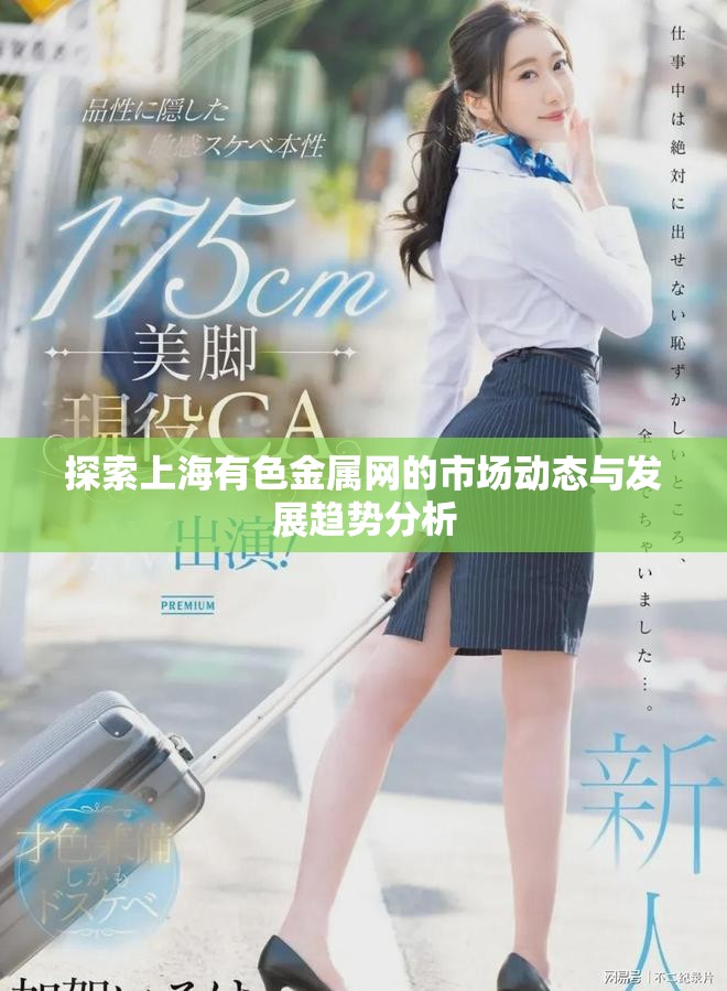 探索上海有色金属网的市场动态与发展趋势分析