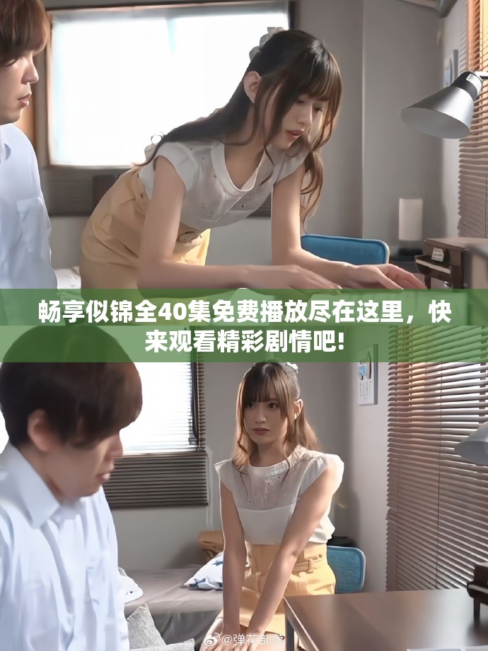 畅享似锦全40集免费播放尽在这里，快来观看精彩剧情吧!