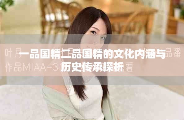 一品国精二品国精的文化内涵与历史传承探析