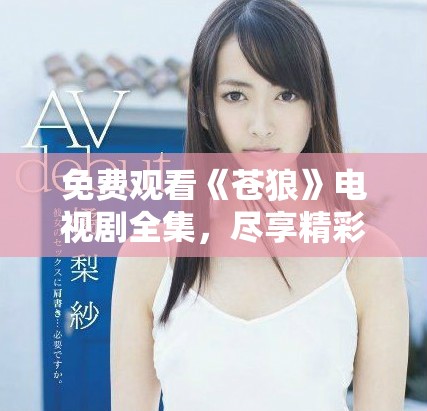免费观看《苍狼》电视剧全集，尽享精彩剧情与扣人心弦故事