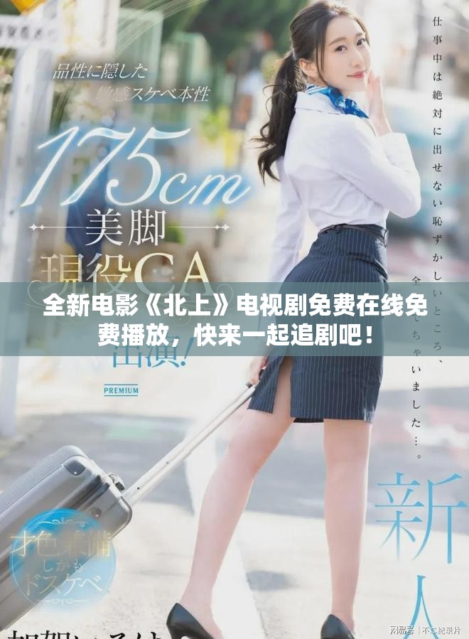 全新电影《北上》电视剧免费在线免费播放，快来一起追剧吧！