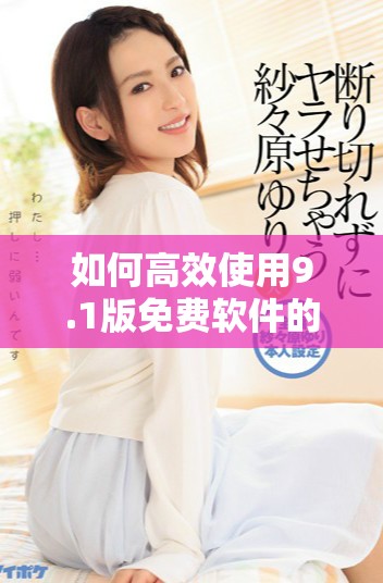 如何高效使用9.1版免费软件的详细操作指南
