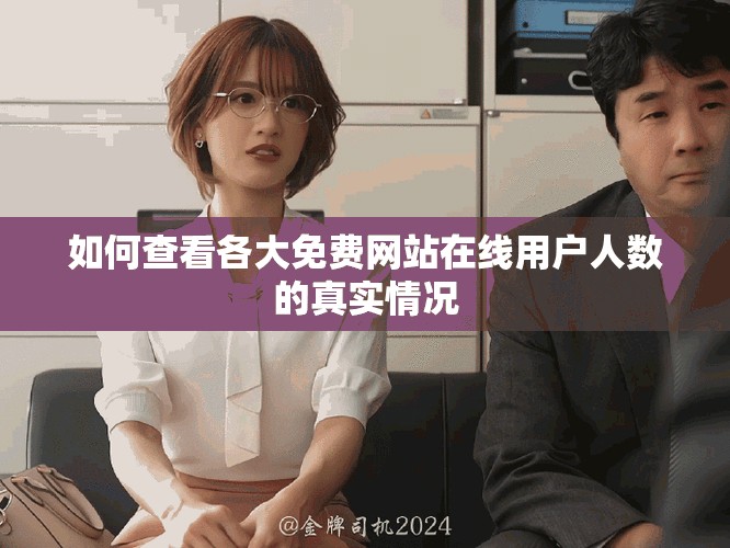如何查看各大免费网站在线用户人数的真实情况