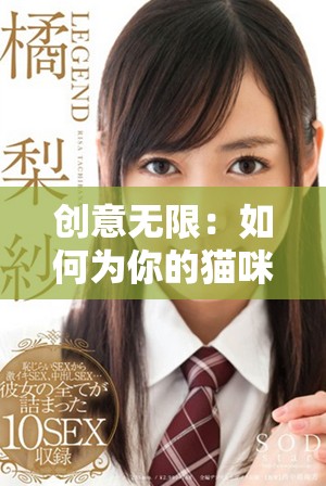 创意无限：如何为你的猫咪取一个独特的地域网名