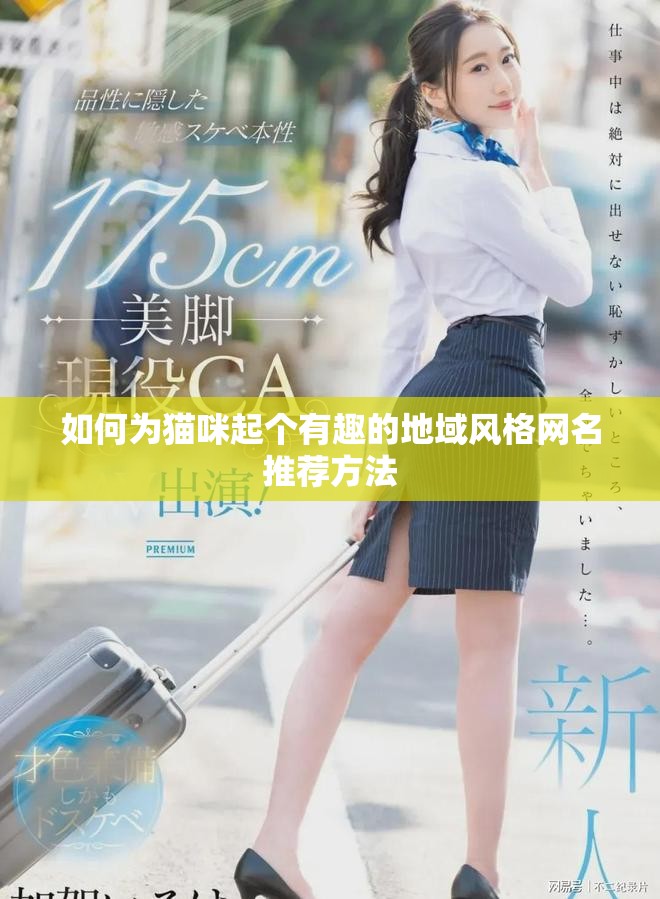 如何为猫咪起个有趣的地域风格网名推荐方法