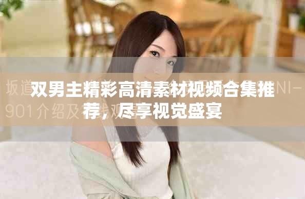 双男主精彩高清素材视频合集推荐，尽享视觉盛宴
