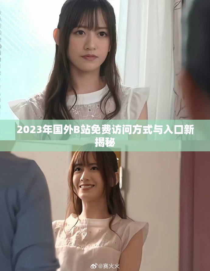 2023年国外B站免费访问方式与入口新揭秘