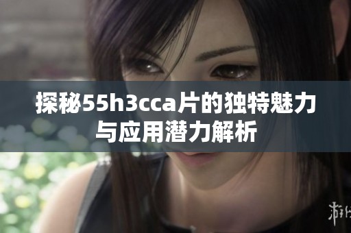 探秘55h3cca片的独特魅力与应用潜力解析