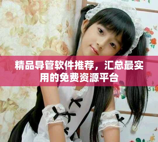 精品导管软件推荐，汇总最实用的免费资源平台
