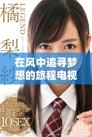 在风中追寻梦想的旅程电视剧完整版免费在线观看