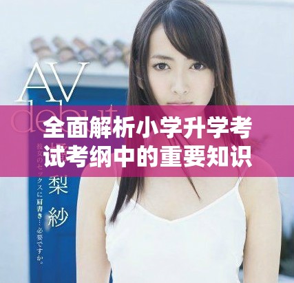 全面解析小学升学考试考纲中的重要知识点与重点要求