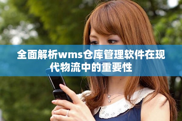 全面解析wms仓库管理软件在现代物流中的重要性