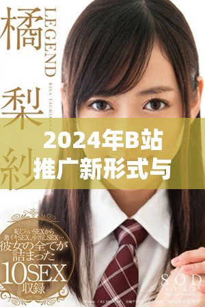 2024年B站推广新形式与网站入口全面解析与指南