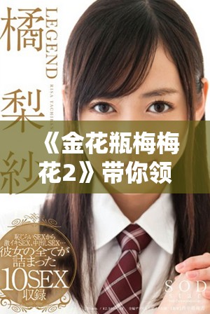 《金花瓶梅梅花2》带你领略古韵与现代的完美结合之旅