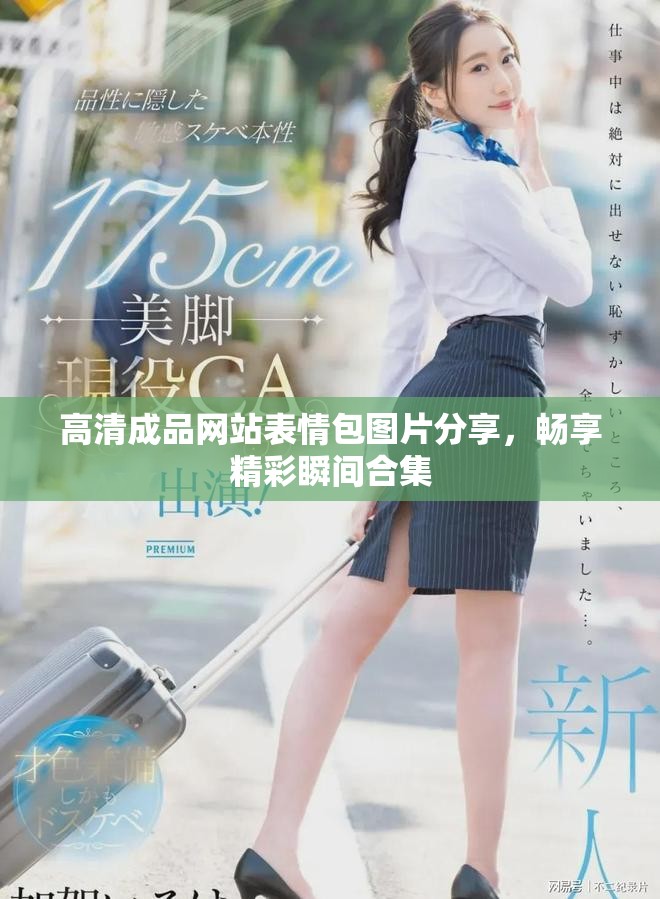 高清成品网站表情包图片分享，畅享精彩瞬间合集