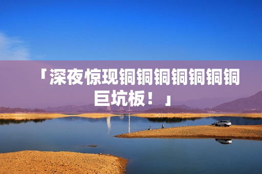 「深夜惊现铜铜铜铜铜铜铜巨坑板！」