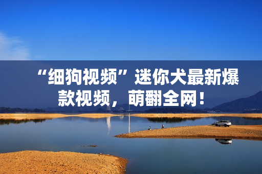 “细狗视频”迷你犬最新爆款视频，萌翻全网！