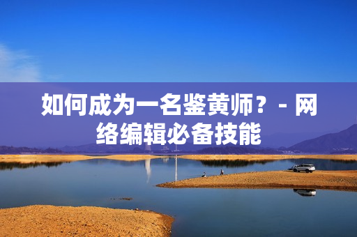 如何成为一名鉴黄师？- 网络编辑必备技能