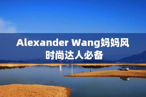 Alexander Wang妈妈风 时尚达人必备