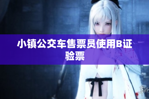 小镇公交车售票员使用B证验票