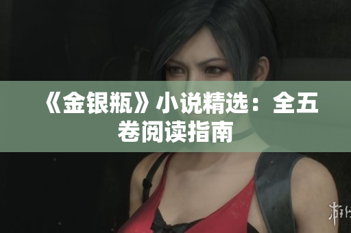 《金银瓶》小说精选：全五卷阅读指南