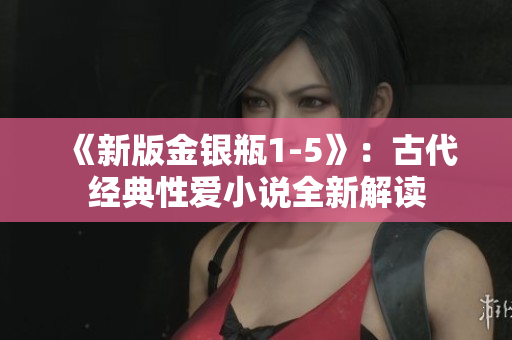 《新版金银瓶1-5》：古代经典性爱小说全新解读
