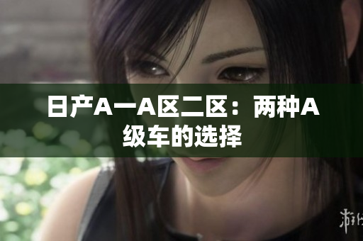 日产A一A区二区：两种A级车的选择