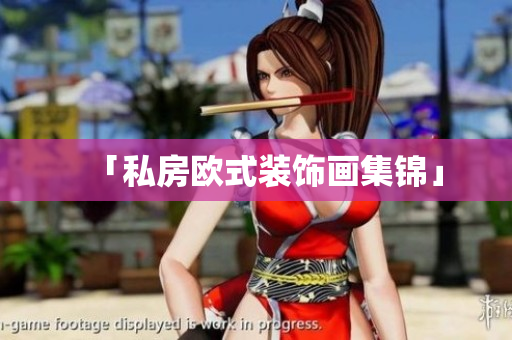 「私房欧式装饰画集锦」