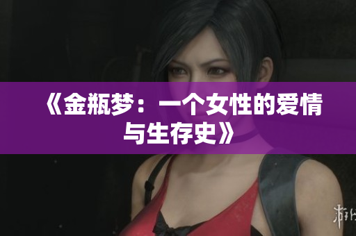 《金瓶梦：一个女性的爱情与生存史》
