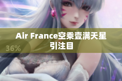 Air France空乘壹满天星引注目