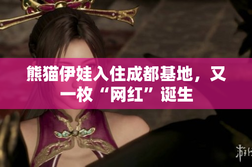 熊猫伊娃入住成都基地，又一枚“网红”诞生