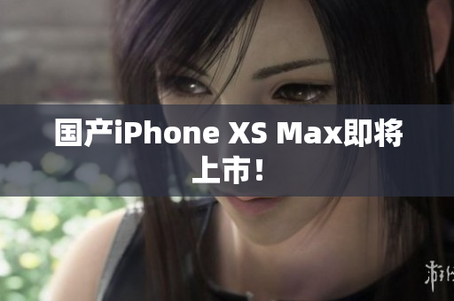 国产iPhone XS Max即将上市！